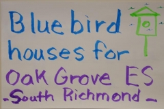 VBS 2016 Bluebird Houses