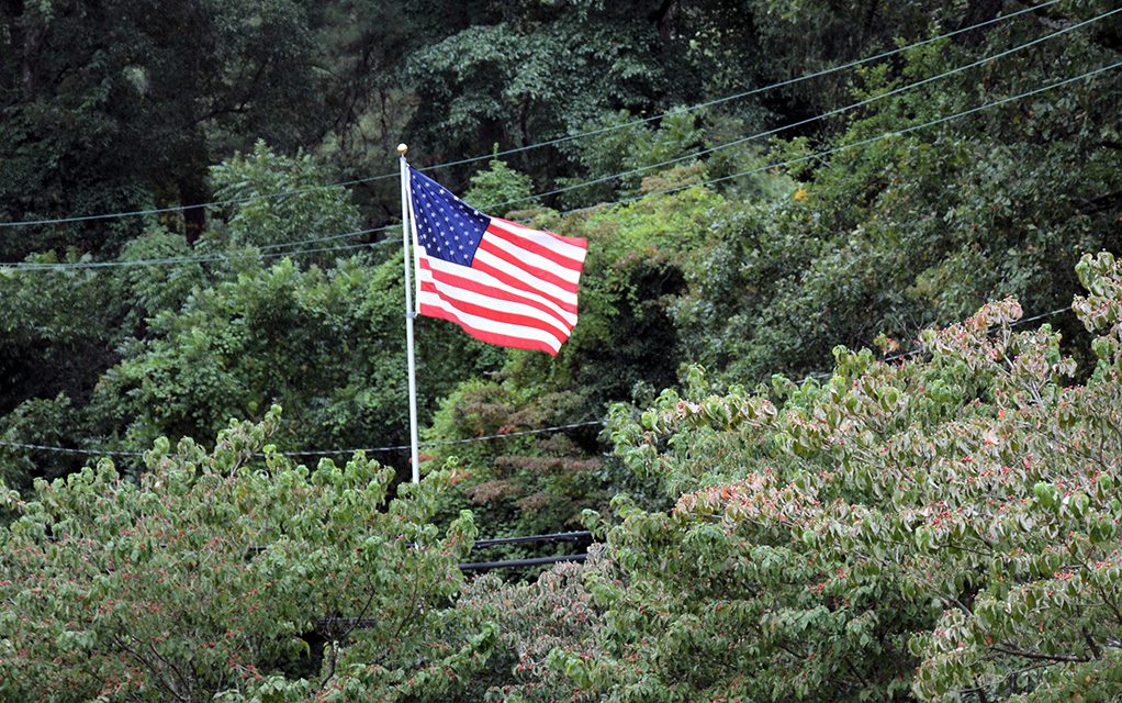 flag in trees
