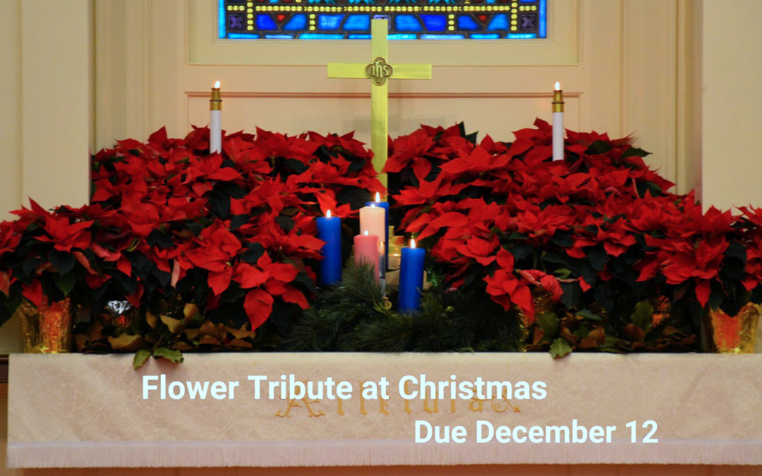 Flower Tribute at Christmas